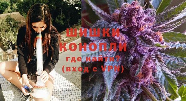 кокс Дмитриев