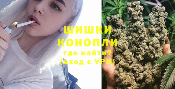 PSILOCYBIN Дмитровск