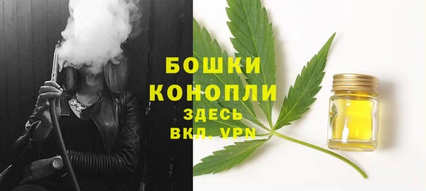 PSILOCYBIN Дмитровск