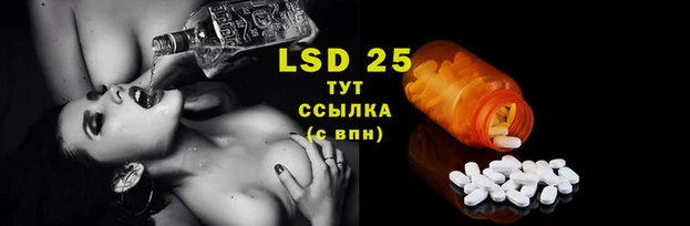 PSILOCYBIN Дмитровск