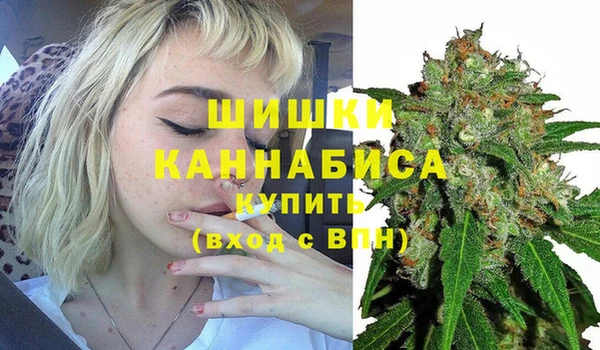 кокс Дмитриев
