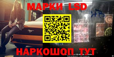 спиды Камышлов